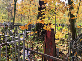 Similar image 21124029