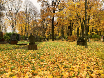 Similar image 21124046