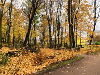 Similar image 21124048