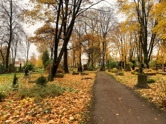 Similar image 21124050