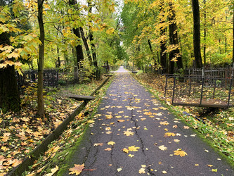 Similar image 21124051