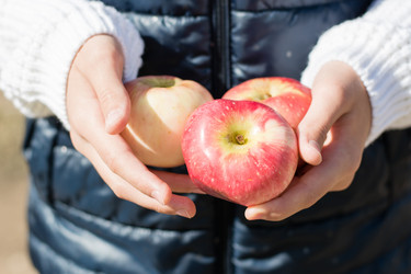 Similar image 21122896