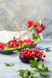 Similar image 21122910