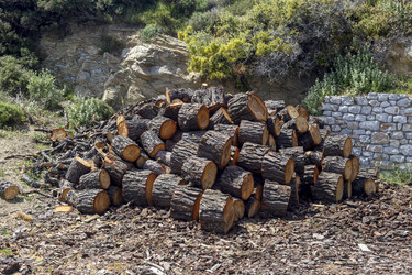 Similar image 21119977