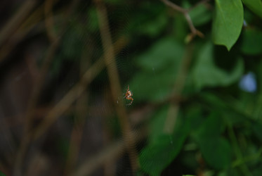 Similar image 21129988