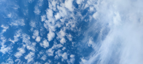 Similar image 21129989