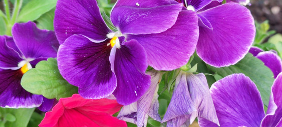 Similar image 21129994