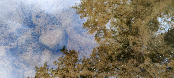 Similar image 21130000