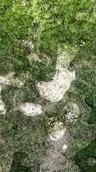 Similar image 21130003