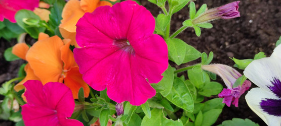 Similar image 21129529