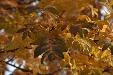 Similar image 21119370