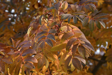 Similar image 21119371