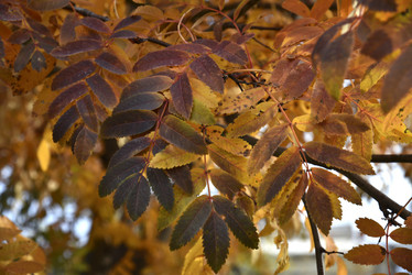 Similar image 21119372