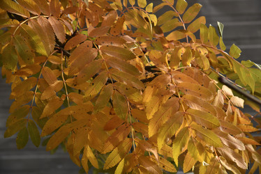 Similar image 21119373