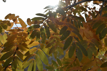 Similar image 21119374