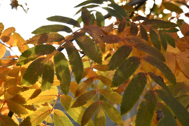 Similar image 21119375