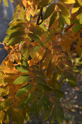 Similar image 21119377