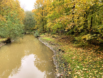 Similar image 21124057