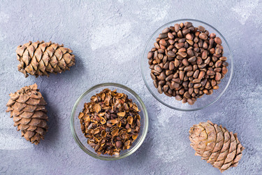 Similar image 21122949