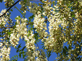 Similar image 21119991