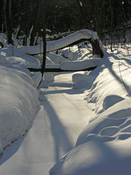 Similar image 21119994