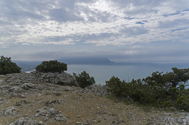 Similar image 21119995