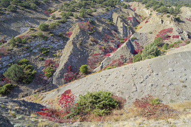 Similar image 21119997