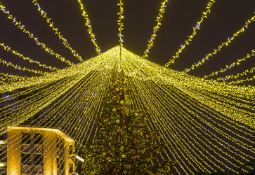 Similar image 21120001