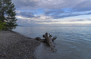 Similar image 21120019