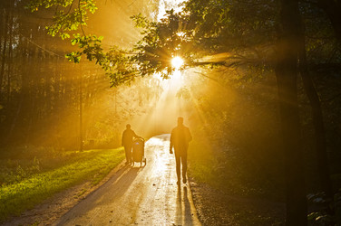 Similar image 21120020