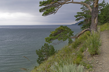 Similar image 21120022