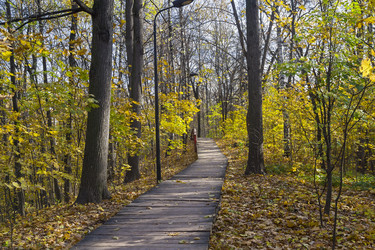 Similar image 21120026