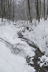 Similar image 21120028