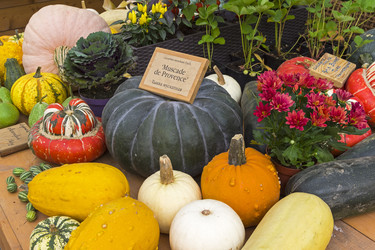 Similar image 21120033