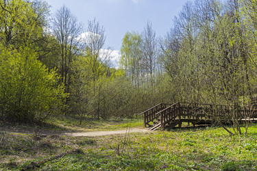 Similar image 21120035