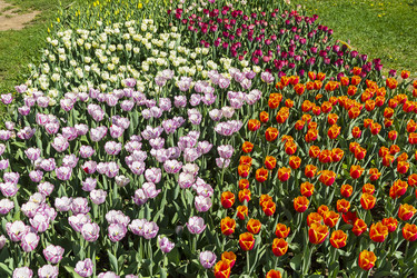 Similar image 21120037