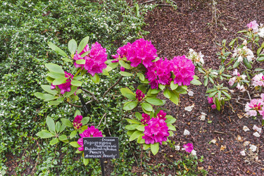 Similar image 21120038