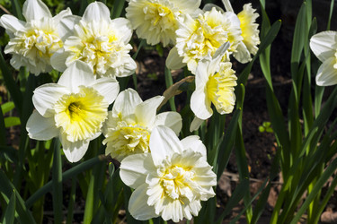 Similar image 21120039