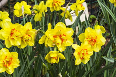 Similar image 21120040