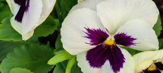 Similar image 21130010