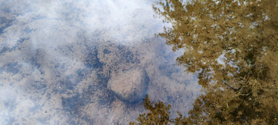 Similar image 21130011