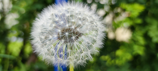 Similar image 21130013