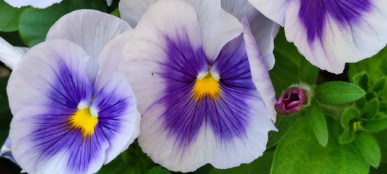 Similar image 21130017