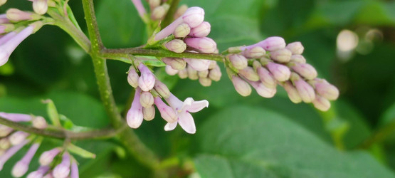 Similar image 21130018