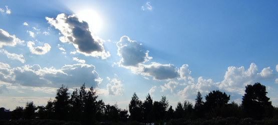 Similar image 21130020