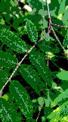 Similar image 21130021