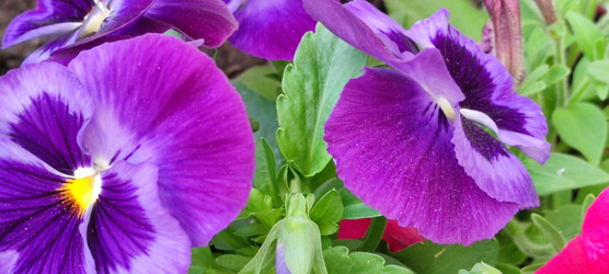 Similar image 21130022