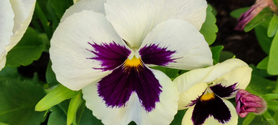 Similar image 21130024