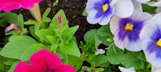 Similar image 21130026