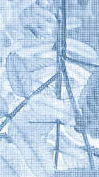 Similar image 21130027